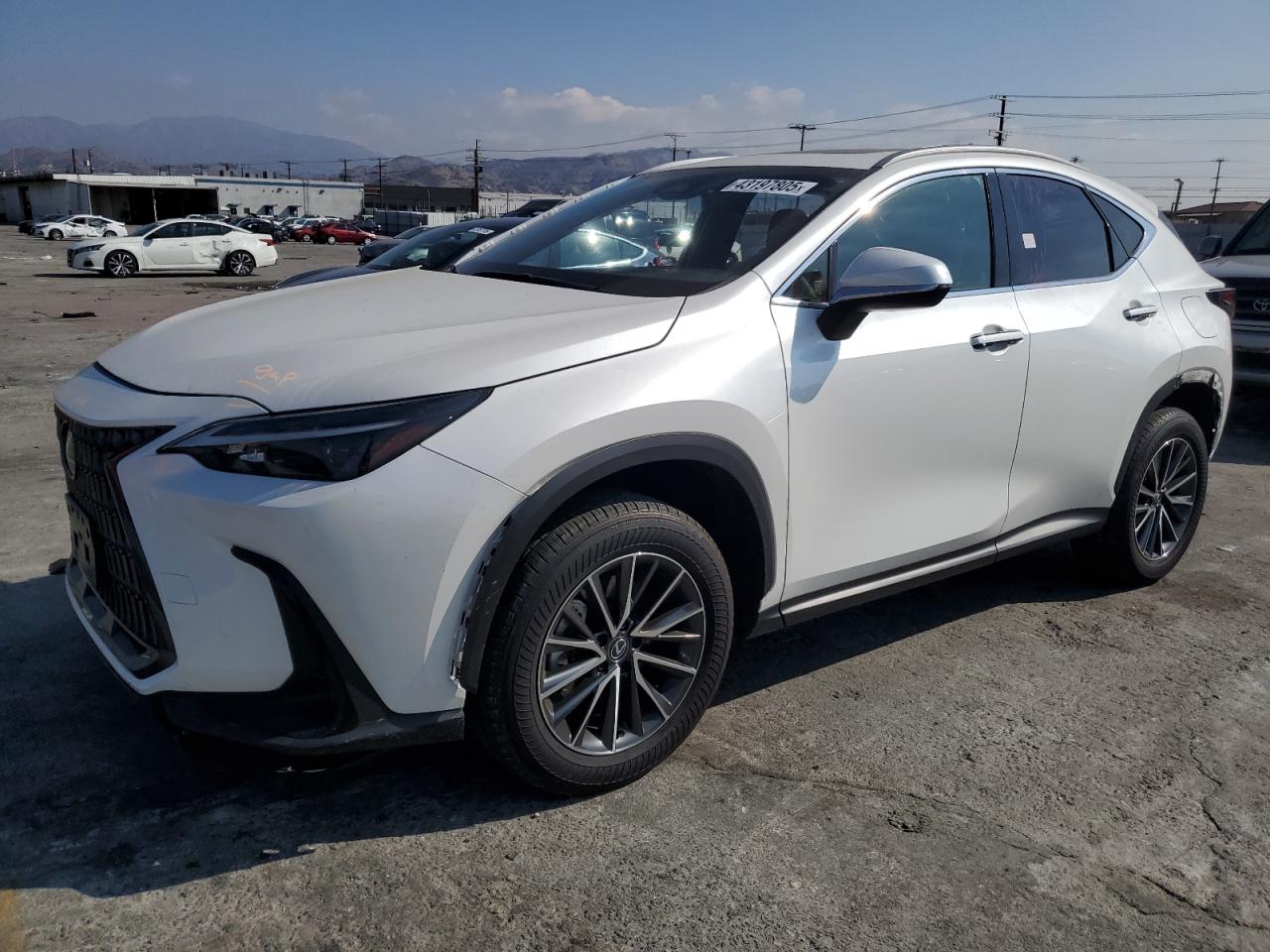 JTJADCAZXR5016226 LEXUS NX 250 BAS 2024