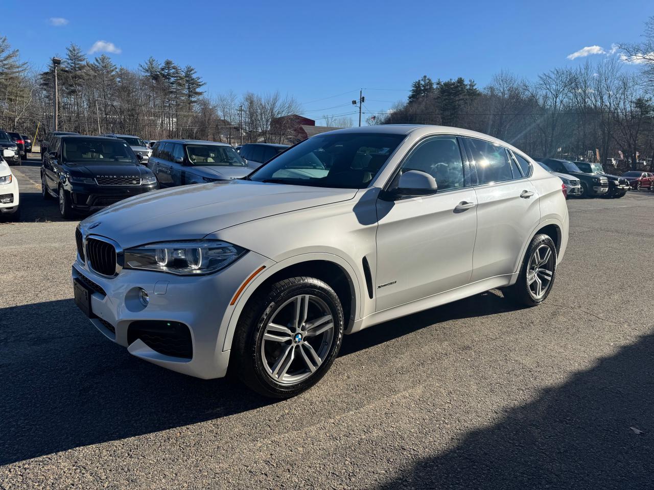 Lot #3046430832 2015 BMW X6 XDRIVE3