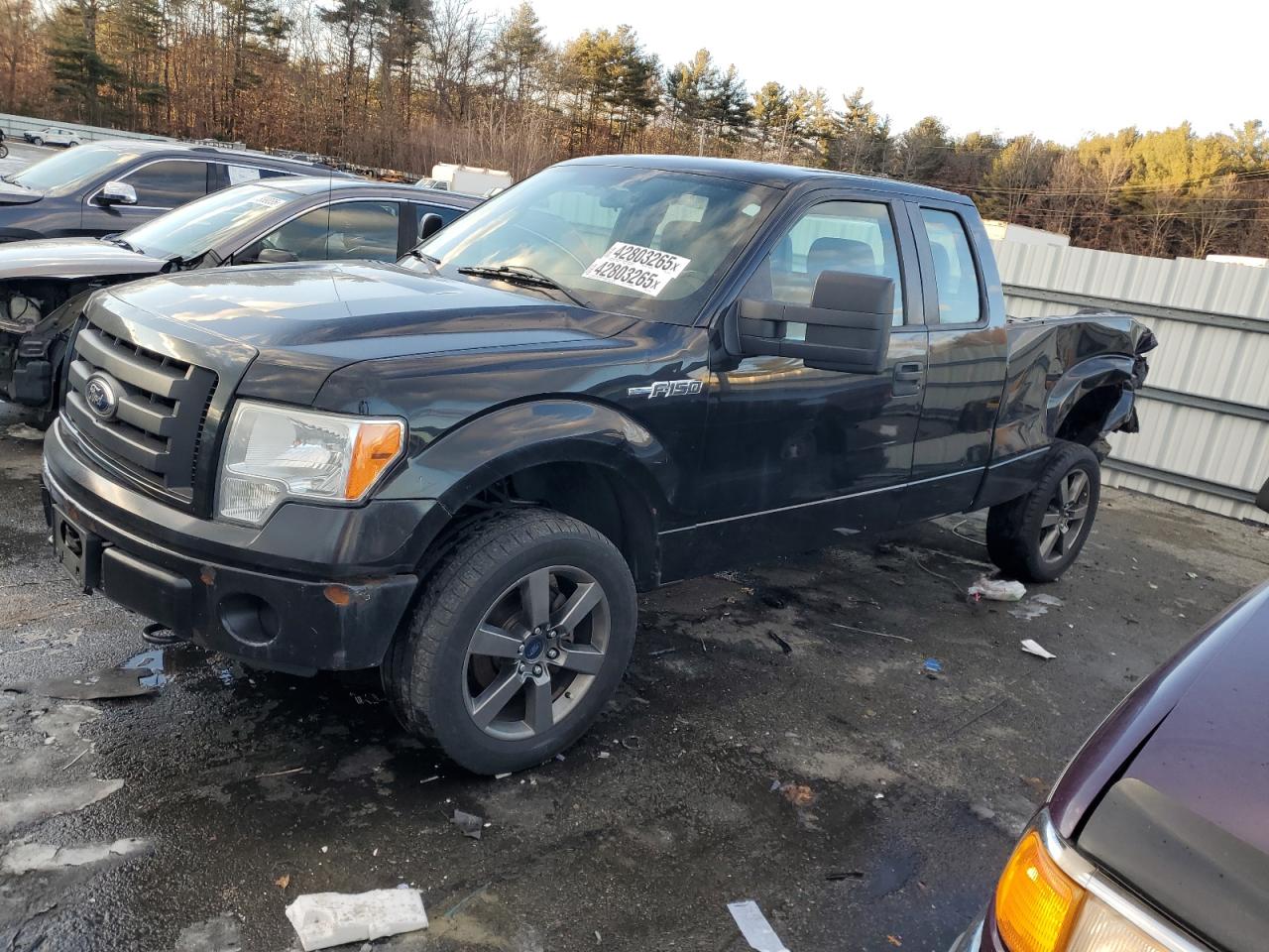  Salvage Ford F-150