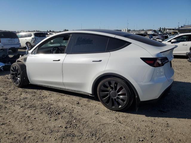 2023 TESLA MODEL Y 7SAYGDEF5PF712909