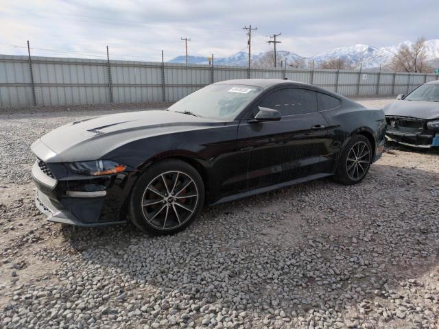 FORD MUSTANG 2021 black  gas 1FA6P8TH6M5107882 photo #1