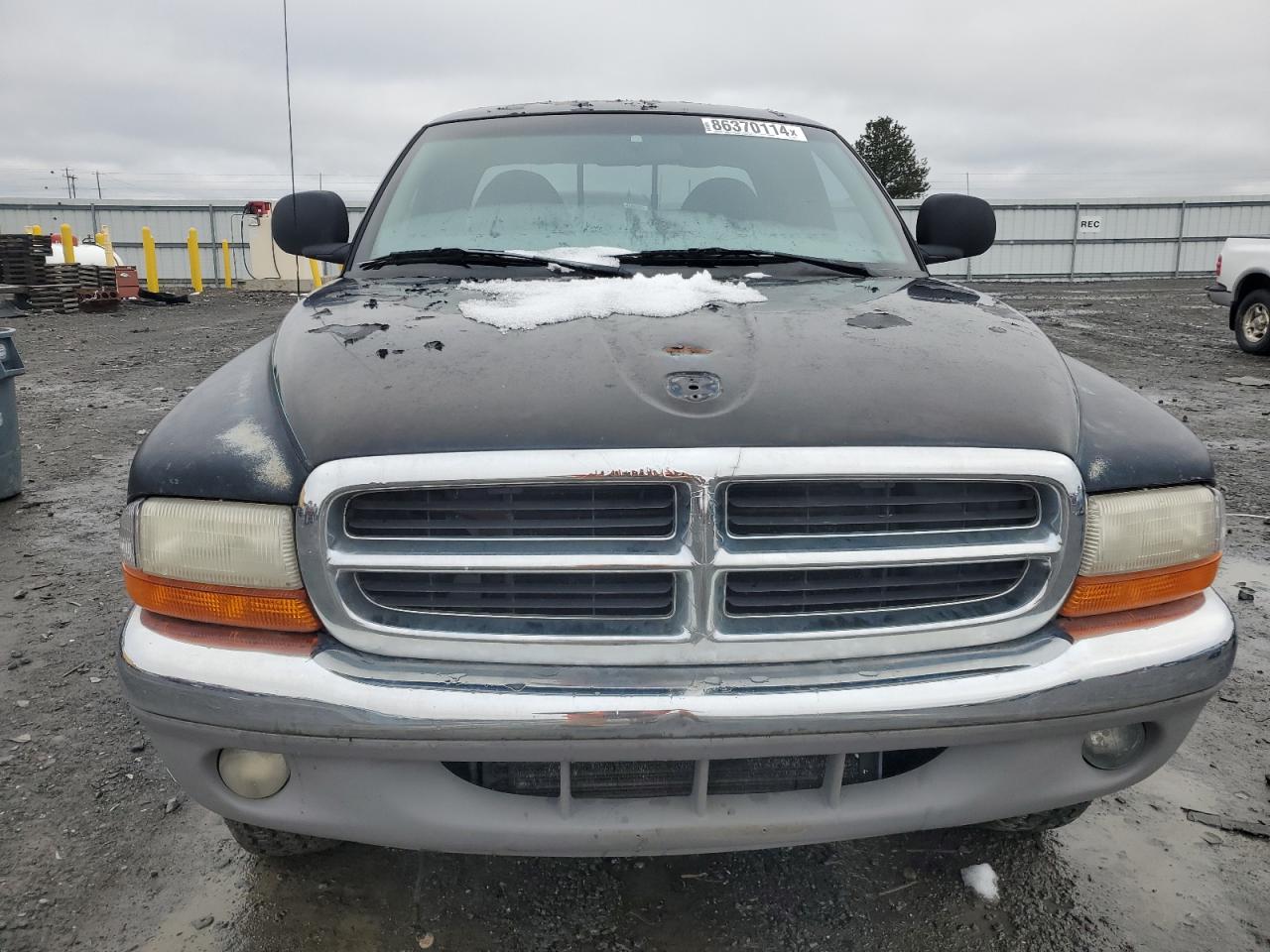 Lot #3049575676 1997 DODGE DAKOTA