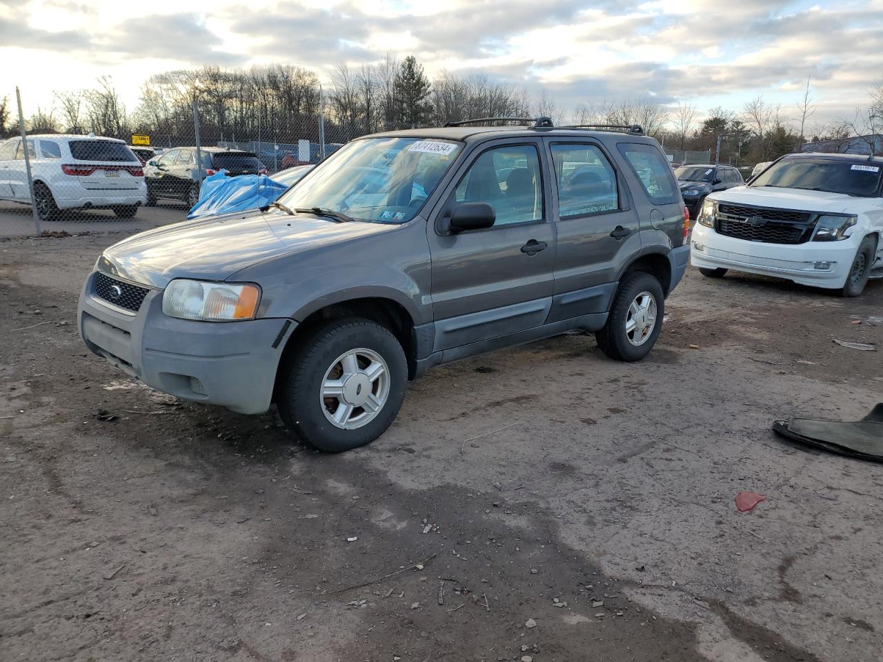 Lot #3044502731 2004 FORD ESCAPE XLS