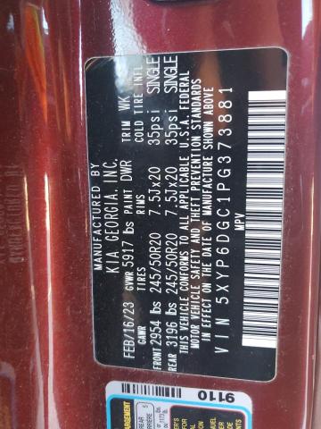 2023 KIA TELLURIDE - 5XYP6DGC1PG373881