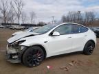 2023 TESLA MODEL Y - 7SAYGDEFXPF855628