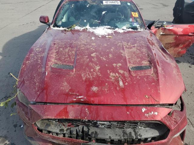 2019 FORD MUSTANG 1FA6P8TH6K5146596