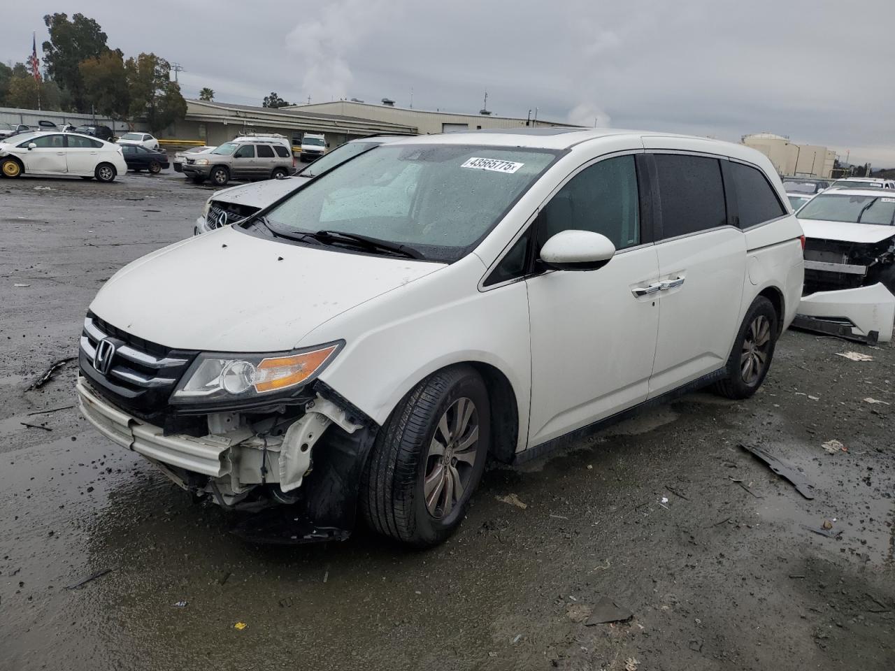  Salvage Honda Odyssey