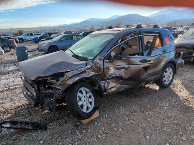 HONDA CR-V EX 2009 tan  gas 5J6RE38569L034881 photo #1