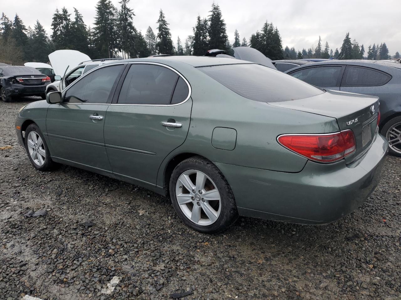 Lot #3050549119 2005 LEXUS ES 330