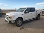 2019 FORD F150 SUPER - 1FTEW1E41KKE24090