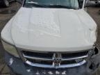 Lot #3050414916 2008 DODGE DAKOTA ST