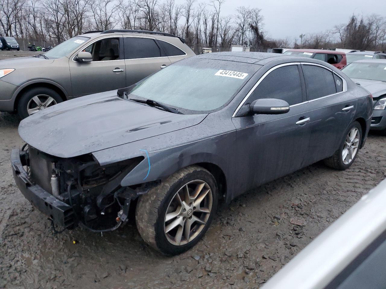  Salvage Nissan Maxima