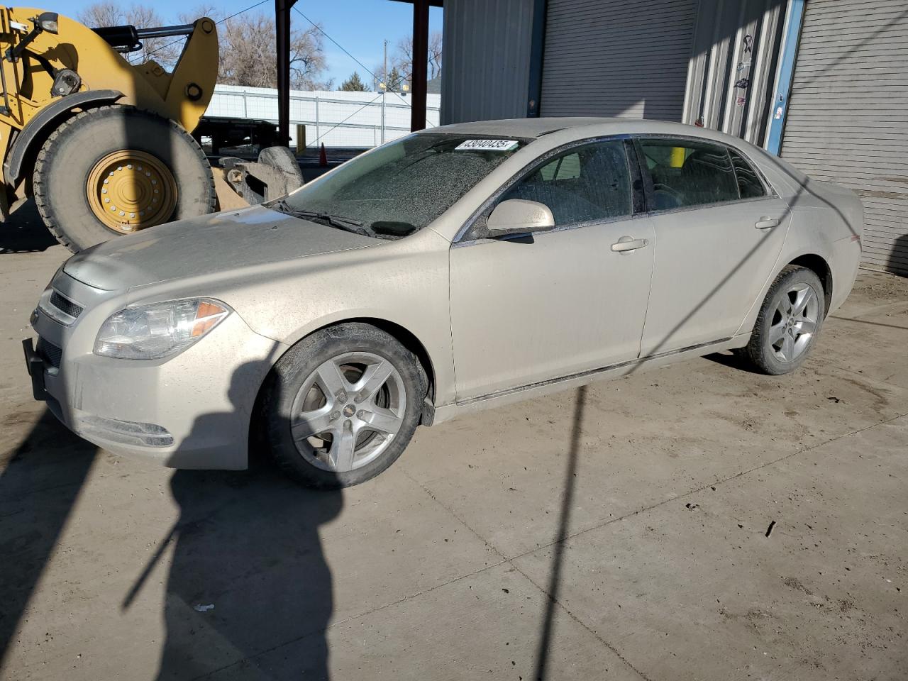 CHEVROLET MALIBU 1LT