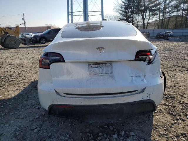 2021 TESLA MODEL Y - 5YJYGDEE8MF070038