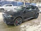 2024 DODGE HORNET R/T - ZACPDFCWXR3A34516