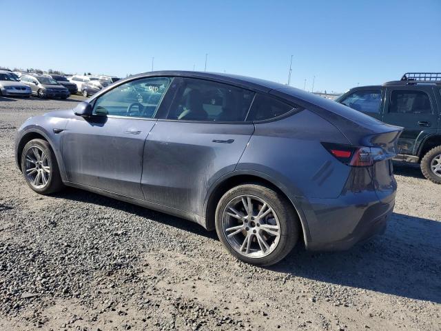 2023 TESLA MODEL Y - 7SAYGDEE1PF634586