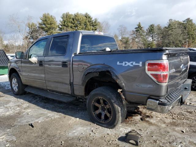 FORD F150 SUPER 2010 gray crew pic gas 1FTEW1E86AFB26435 photo #3