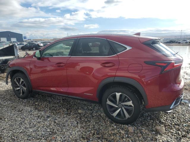 LEXUS NX 300H 2020 red  hybrid engine JTJGJRDZ0L2143996 photo #3