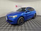 Lot #3051291650 2018 ALFA ROMEO STELVIO QU