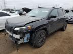 2019 JEEP CHEROKEE L - 1C4PJMDX8KD354046