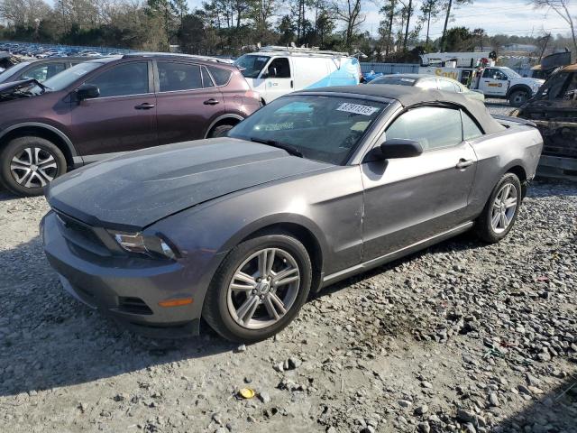 FORD MUSTANG 2011 gray  gas 1ZVBP8EM8B5148415 photo #1