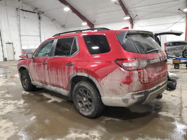 2024 HONDA PILOT TRAI 5FNYG1H64RB045051