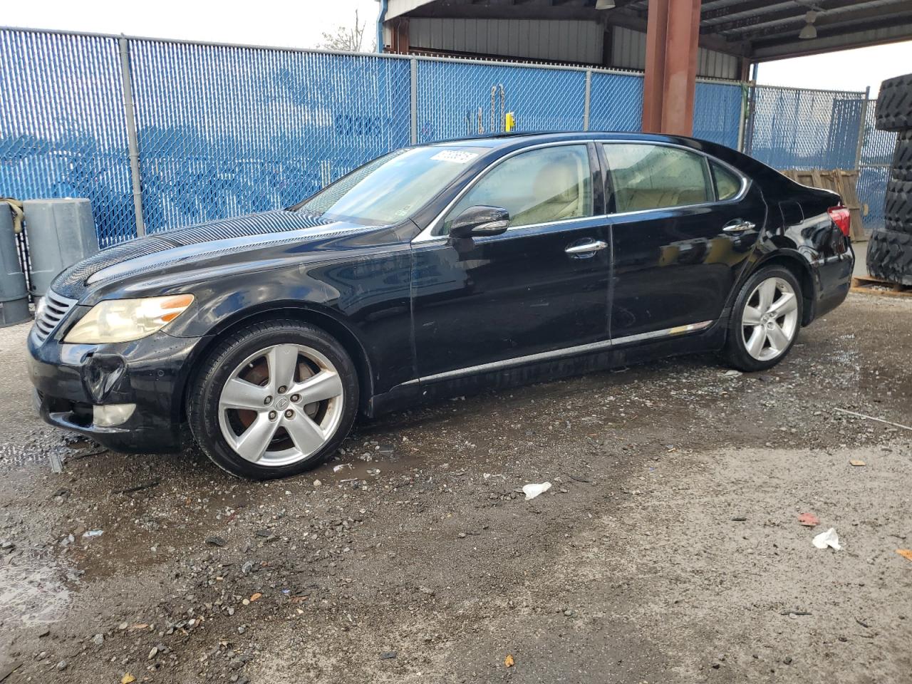 LEXUS LS 460 460L