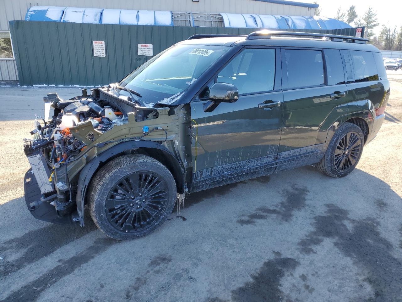 5NMP5DG10RH001944 HYUNDAI SANTA FE C 2024