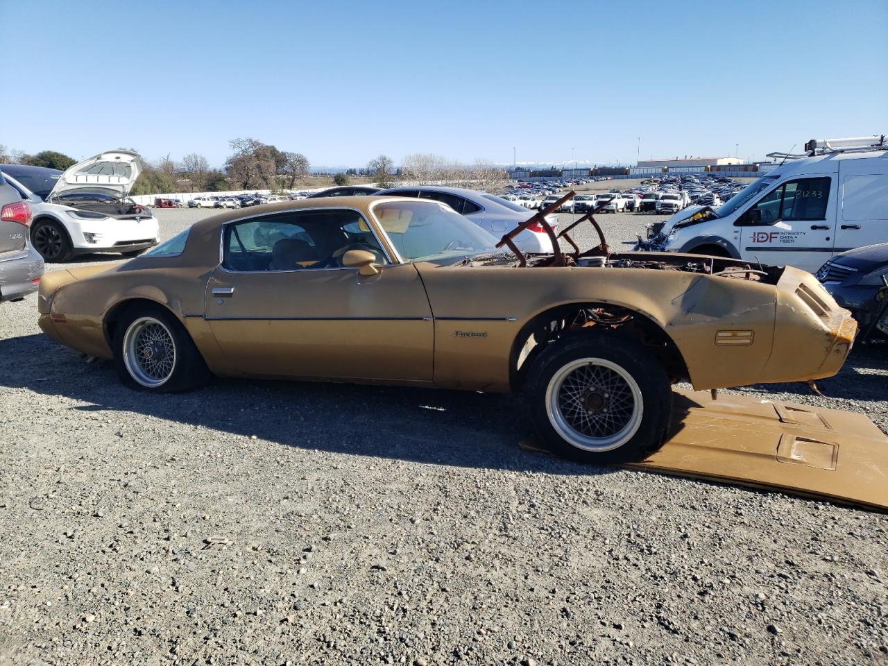 Lot #3055417341 1981 PONTIAC FIREBIRD F