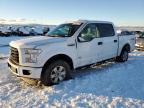2017 FORD F150 SUPER - 1FTEW1EP7HKD81846