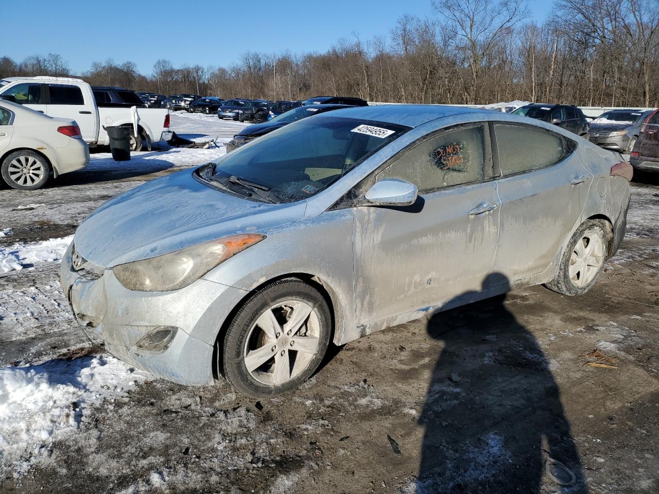  Salvage Hyundai ELANTRA