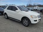 Lot #3055248824 2007 MERCEDES-BENZ ML 350