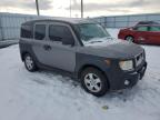 HONDA ELEMENT EX снимка