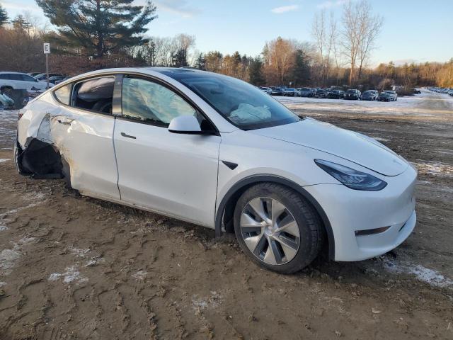 2022 TESLA MODEL Y - 7SAYGDEEXNF319766