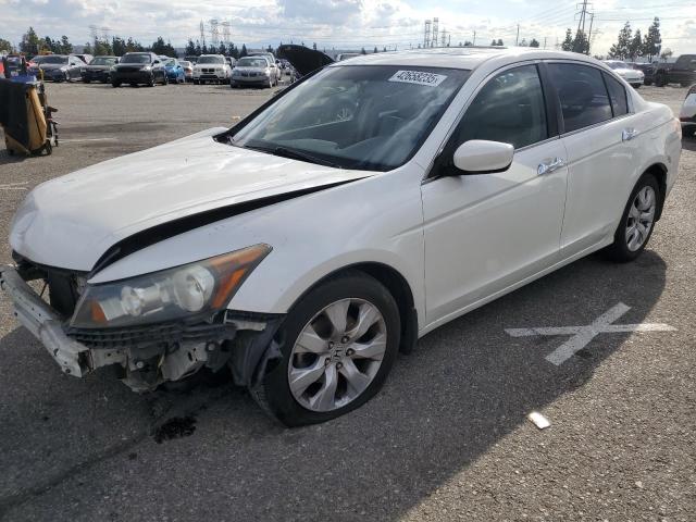 HONDA ACCORD EXL 2008 white  gas 1HGCP36818A067852 photo #1