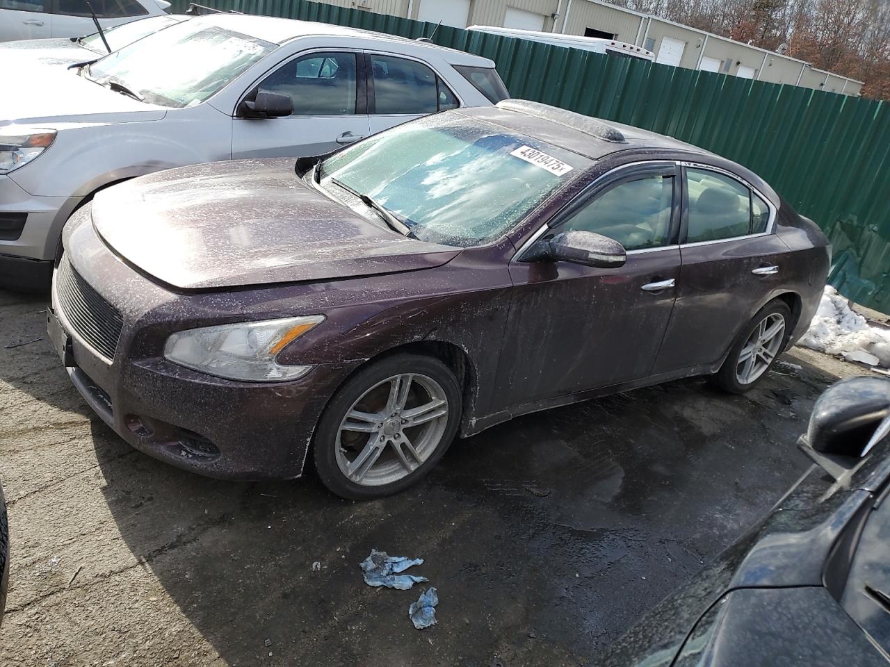  Salvage Nissan Maxima