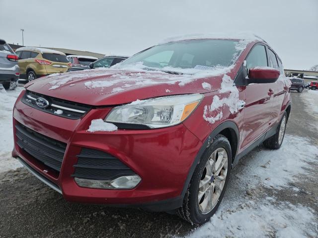 FORD ESCAPE SE 2016 red 4dr spor gas 1FMCU0GX8GUA73183 photo #3