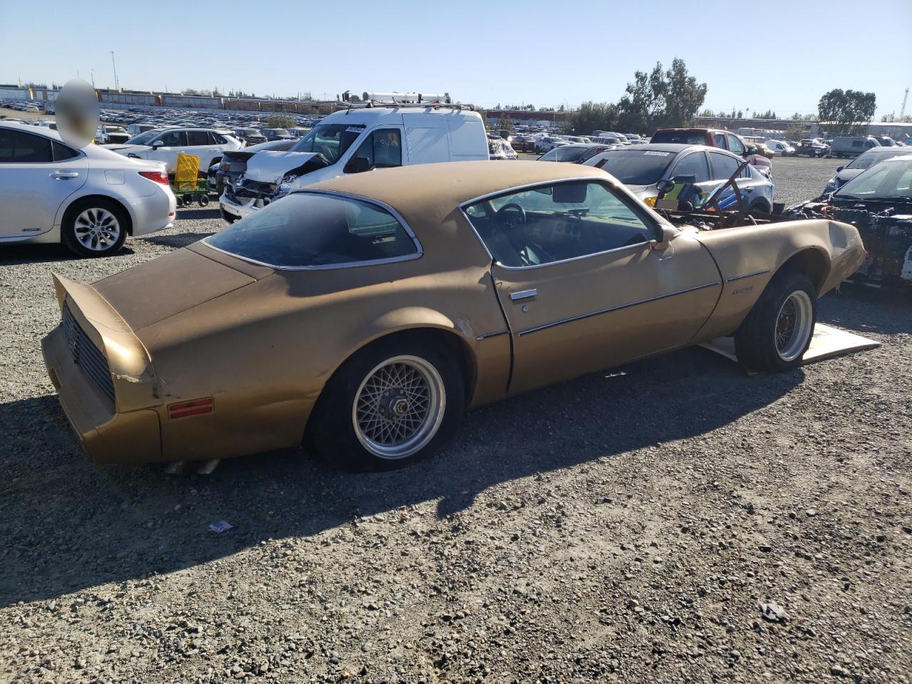 Lot #3055417341 1981 PONTIAC FIREBIRD F