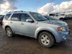 Lot #3050280906 2008 FORD ESCAPE HEV