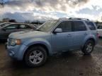 Lot #3050280906 2008 FORD ESCAPE HEV