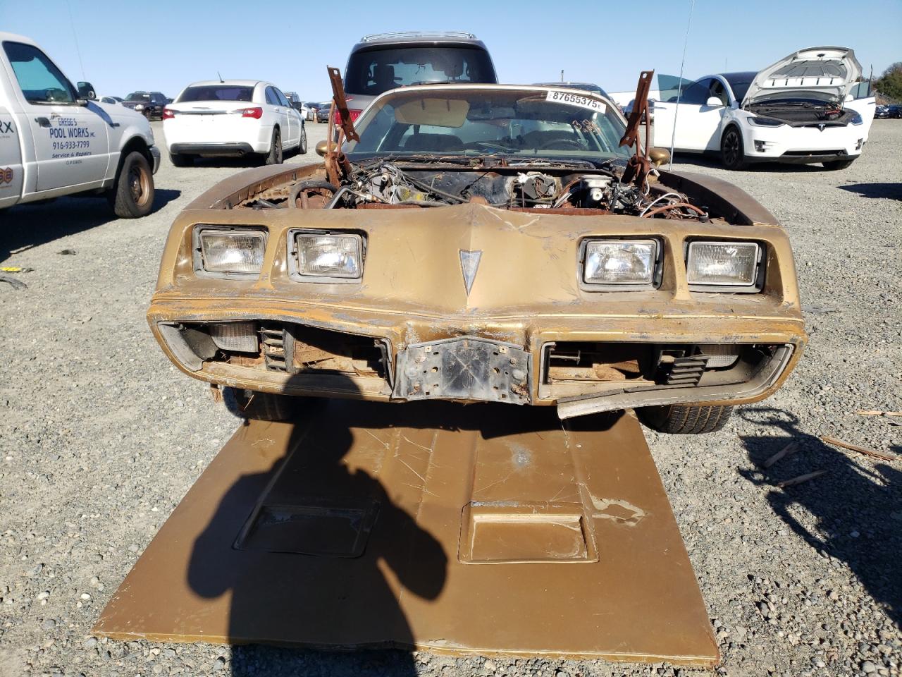 Lot #3055417341 1981 PONTIAC FIREBIRD F