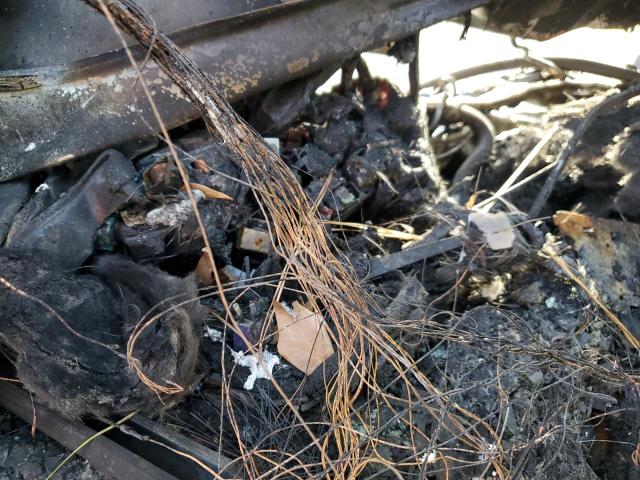 2023 TOYOTA TACOMA DOU #3260666667