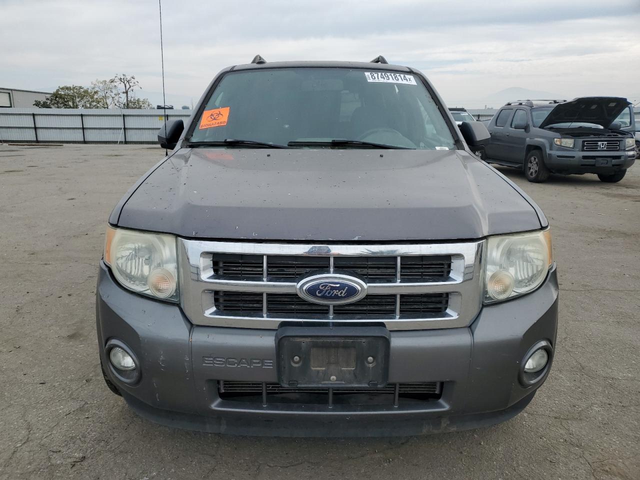 Lot #3045962323 2010 FORD ESCAPE XLT