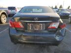 Lot #3052754670 2009 LEXUS ES 350