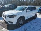 2019 JEEP CHEROKEE L - 1C4PJMLB8KD125730