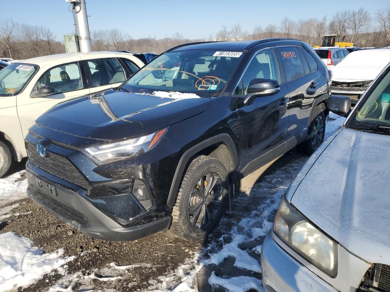 2T3B6RFV8RW060745 TOYOTA RAV4 XLE P 2024