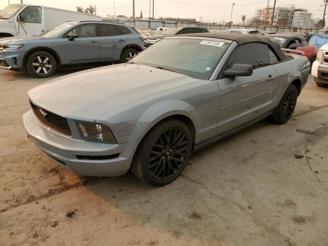 FORD MUSTANG 2006 gray converti gas 1ZVFT84N765189244 photo #1