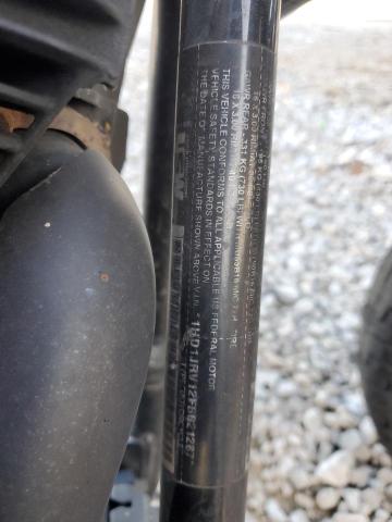 2015 HARLEY-DAVIDSON FLS SOFTAI 1HD1JRV12FB021287
