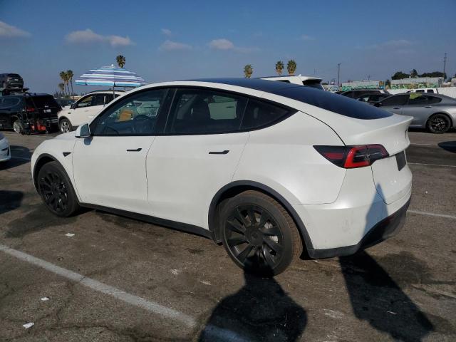 TESLA MODEL Y 2020 white  electric 5YJYGDEE2LF053413 photo #3