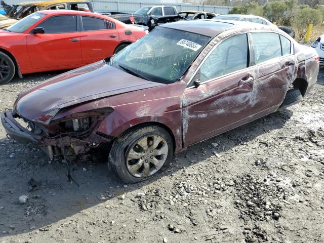 1HGCP2F81AA134319 2010 HONDA ACCORD